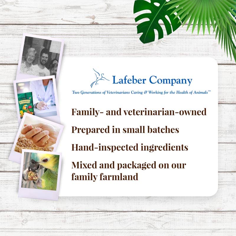 LAFEBER'S Nutri-Berries perroquet-heureux: moment de gourmandise et de variété.