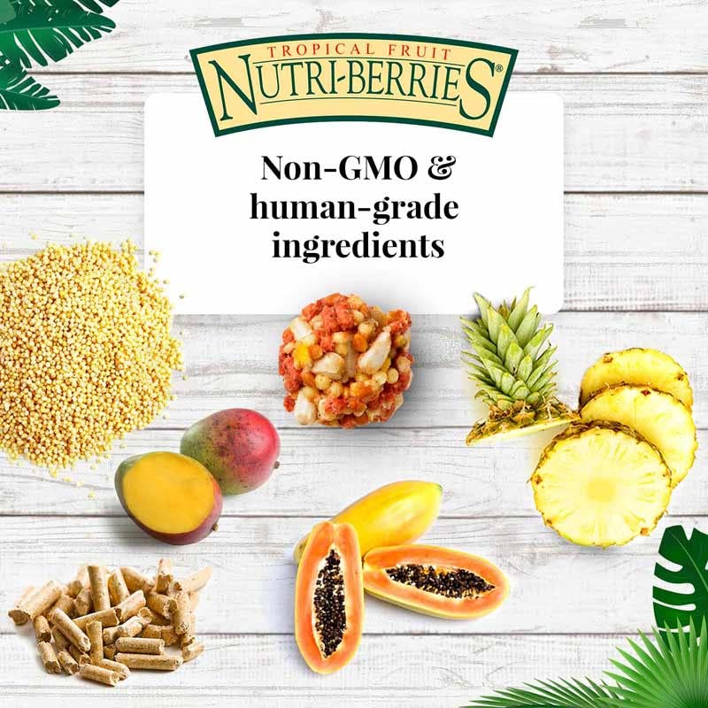 LAFEBER'S Nutri-Berries portion-suggeree: idée de ration quotidienne pour perroquets.
