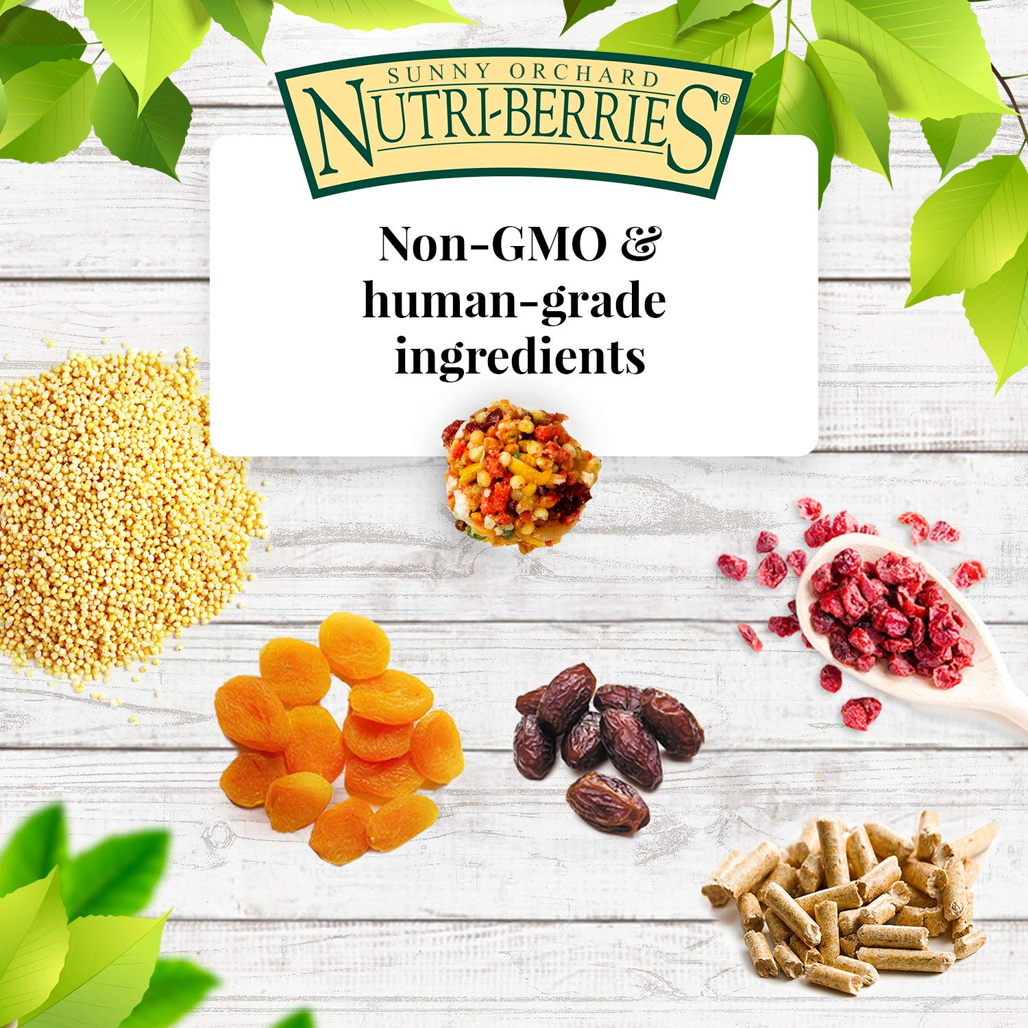 Ingrédients fruits secs abricots, dates et canneberges dans Nutri-Berries Sunny Orchard.