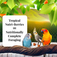 Gros plan sur les ingrédients réels des Nutri-Berries, fruits et baies sans additifs.