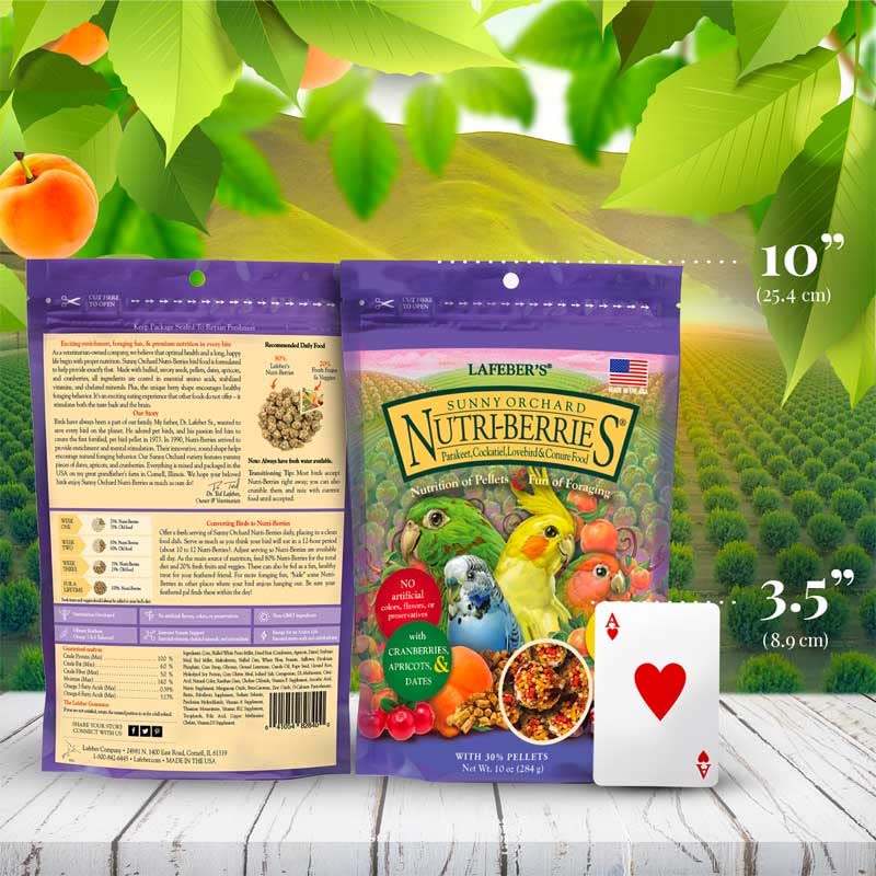 Oiseau en train de manger Nutri-Berries Sunny Orchard, moment d'enrichissement alimentaire.