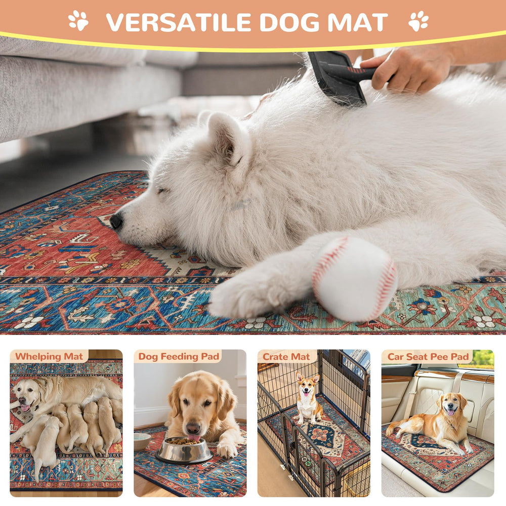 Tapis Lahome absorption rapide evacuation efficace du liquide