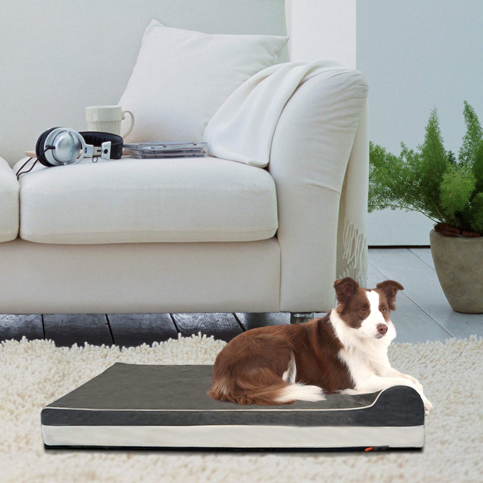 Conçu pour chiens entre 25 et 100 livres