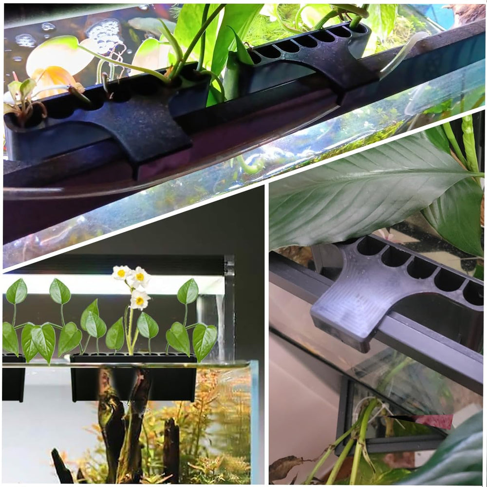 Laikadi exemple d’installation aquascape haut pour bac.