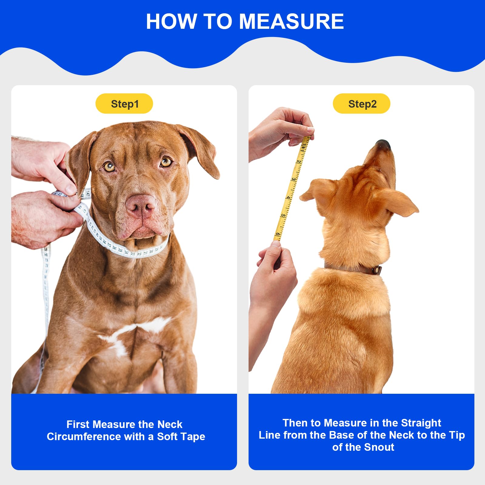 Lainergie cone doux chien visibilite avant pour manger et bouger.