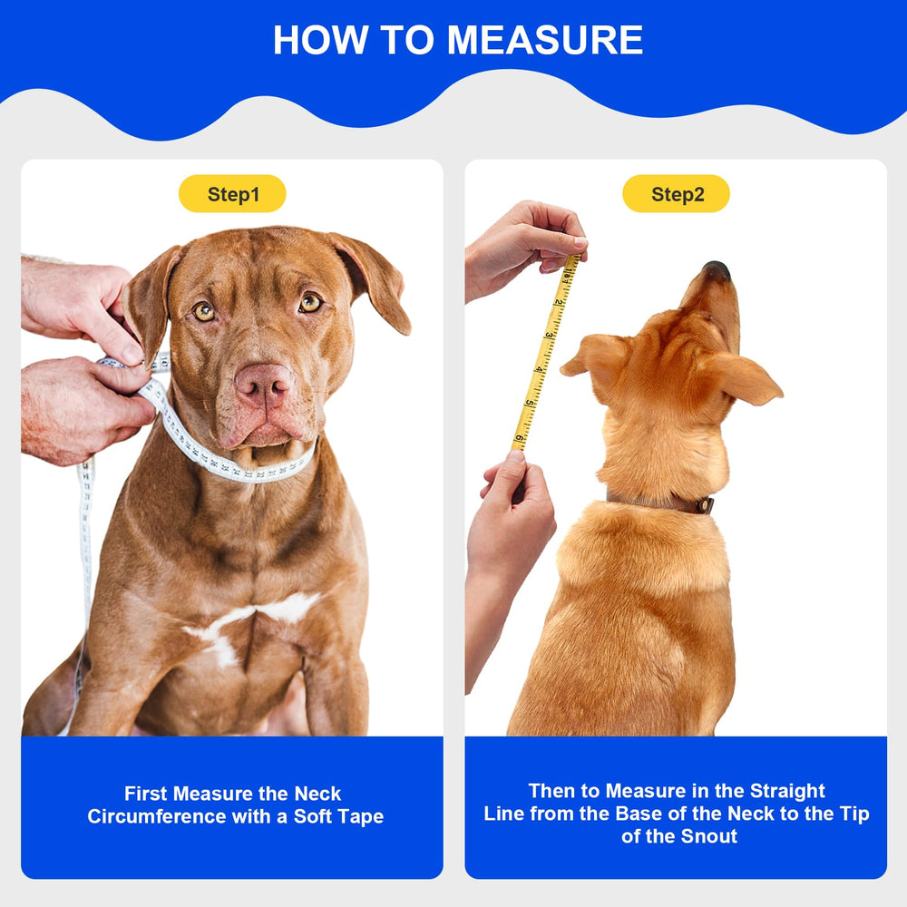 Lainergie cone doux chien visibilite avant pour manger et bouger.