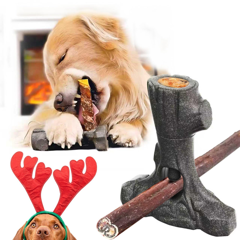 Design sûr LaiQiuJunA aidant à réduire l’ennui et l’anxiété canine.