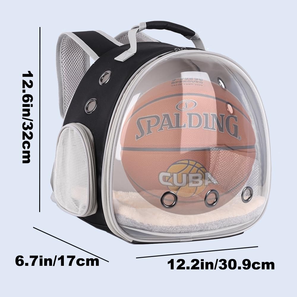 Lairies bulle transparente frontale permettant une vue claire du compagnon.