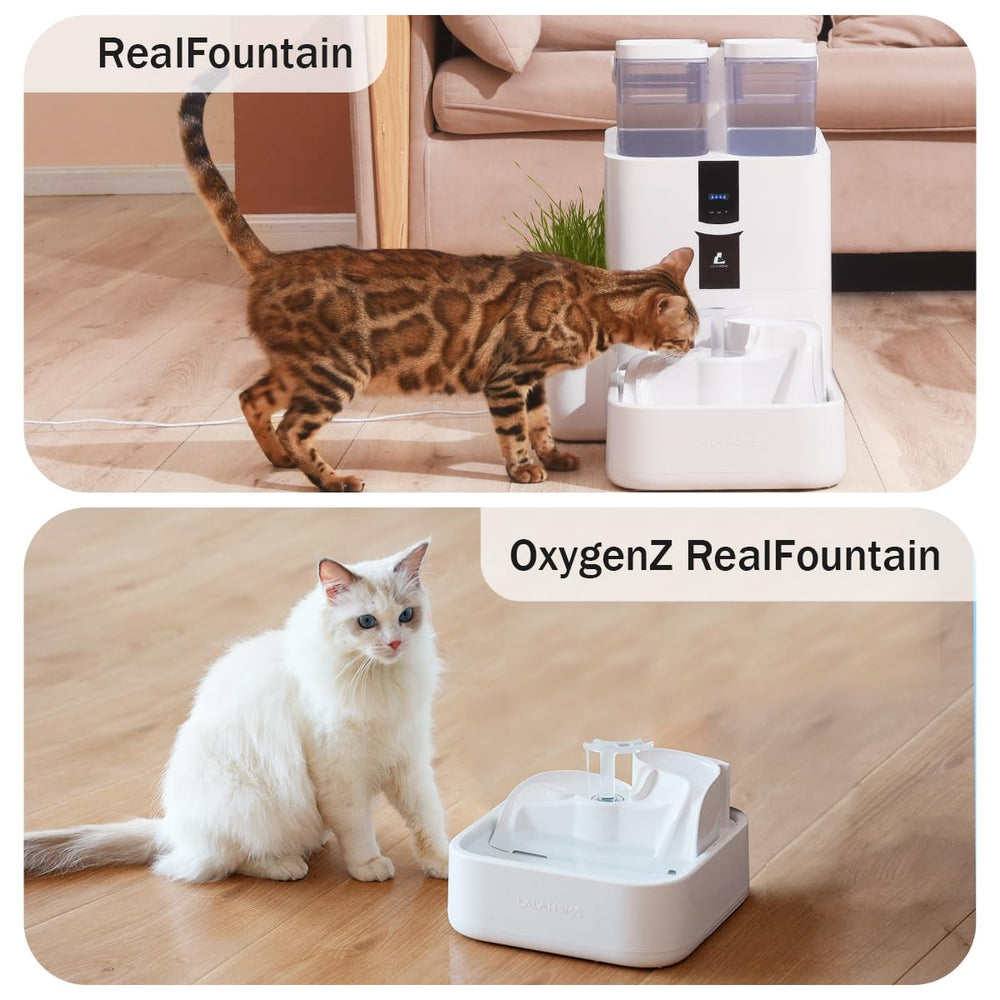 LALAHOME Filtre chat compact et design pour fontaine moderne
