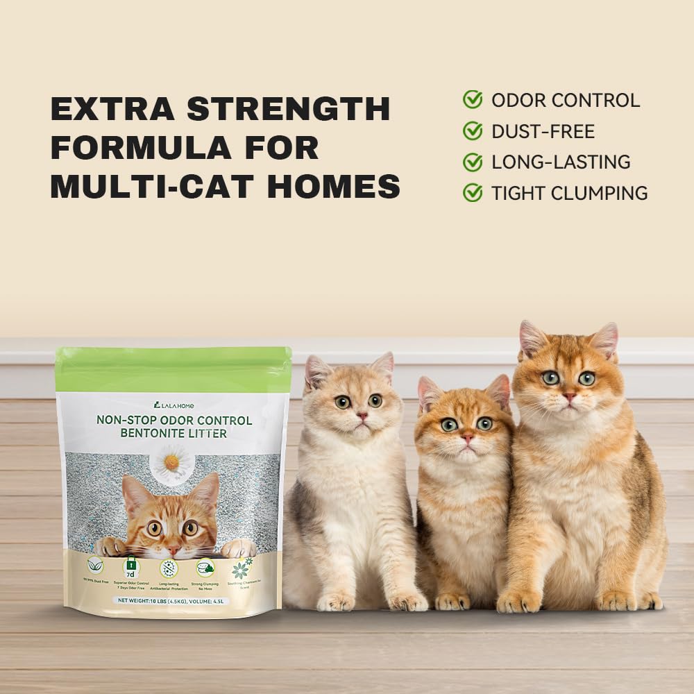 LALAHOME Bentonite Format 20-lb : longue durabilité et grande capacité.