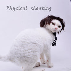 Perruque chat design 3D Lamiaraga; look réaliste et divertissant