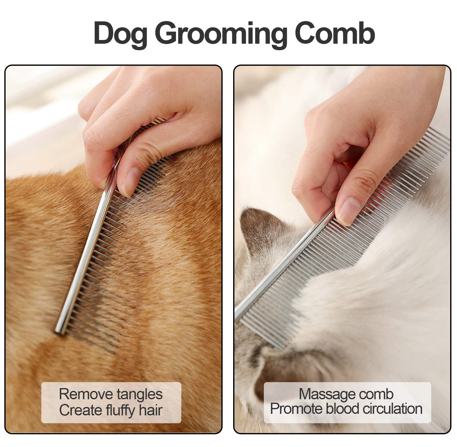 Lamoutor utilisation sur chien, brossage agréable et sans douleur.
