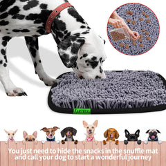 LAMTWEK jeu detection gourmand pour chien, pratique et captivant.