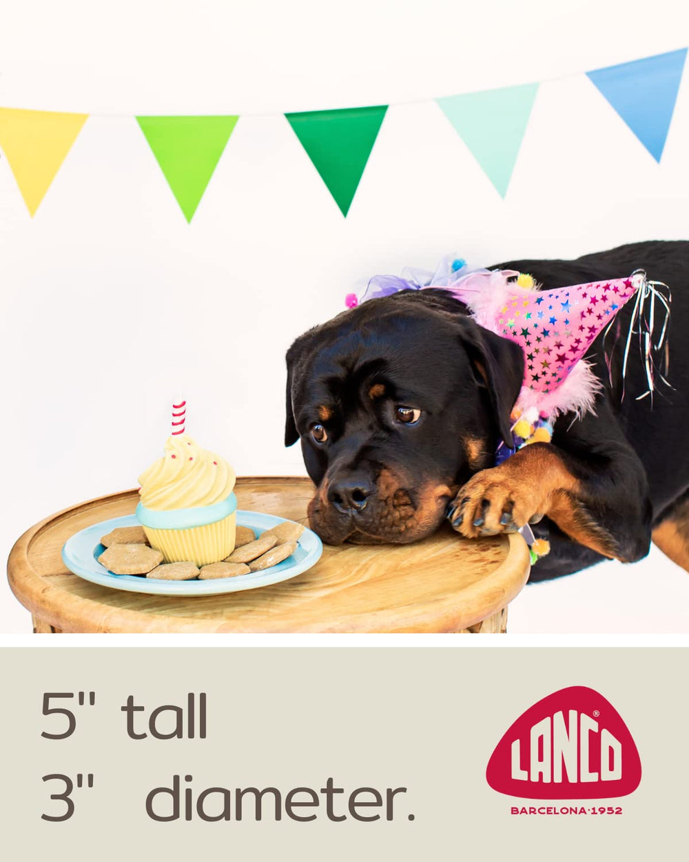 Conforme EN71, sécurité non toxique pour chiens et familles.