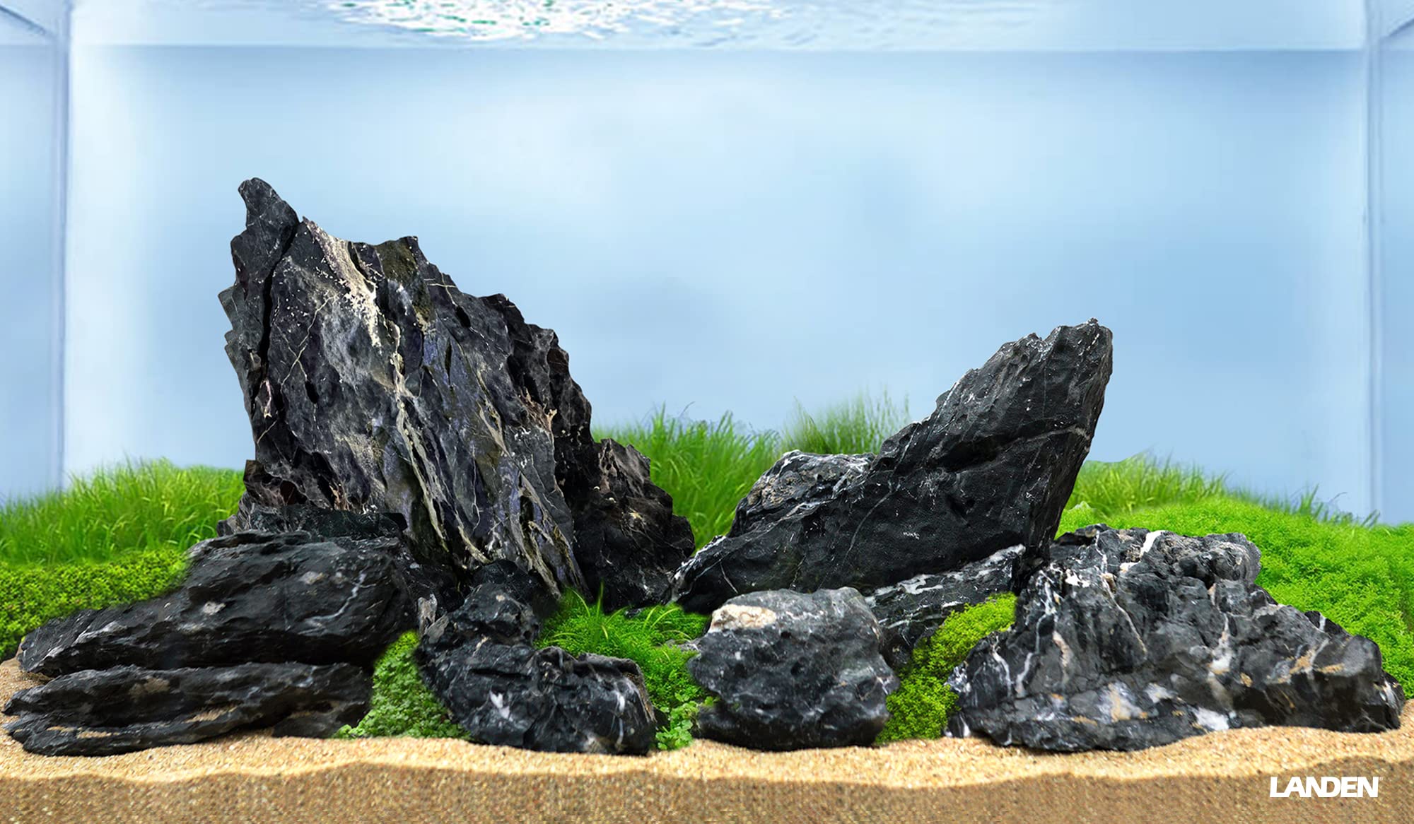 LANDEN pierres Seiryu Noires paludarium et terrarium avec ambiance sombre