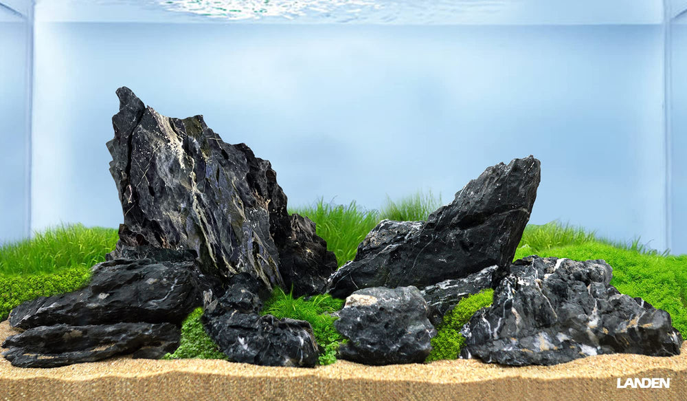 LANDEN pierres Seiryu Noires paludarium et terrarium avec ambiance sombre