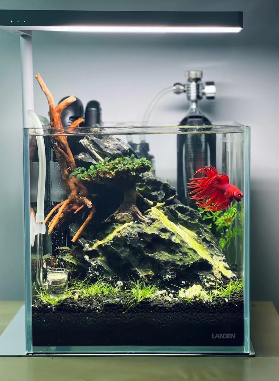 Landen Substrat Terreau Aquatique couleur noire élégante