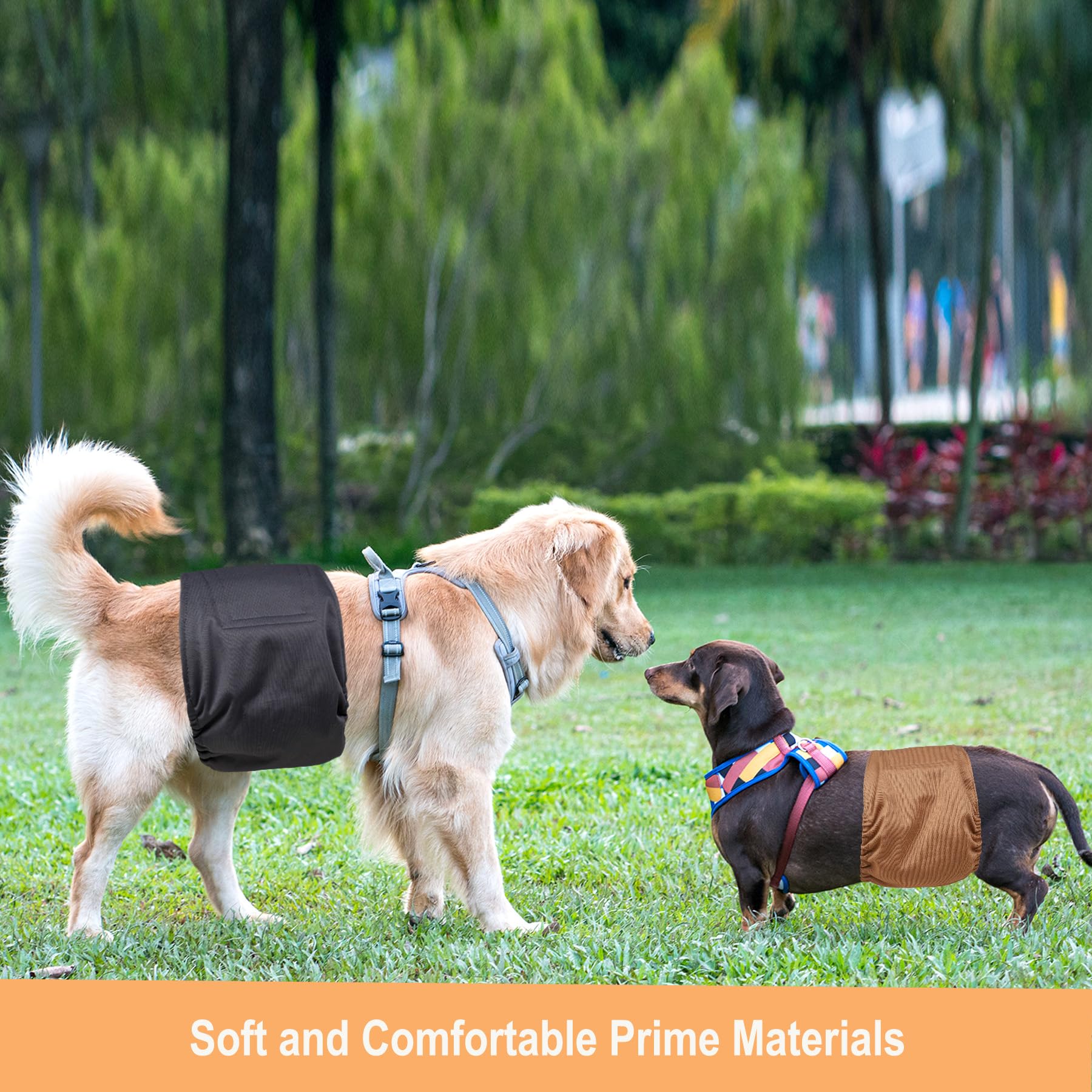 Bandes Langsprit mâles – motifs variés pour chien élégant et heureux