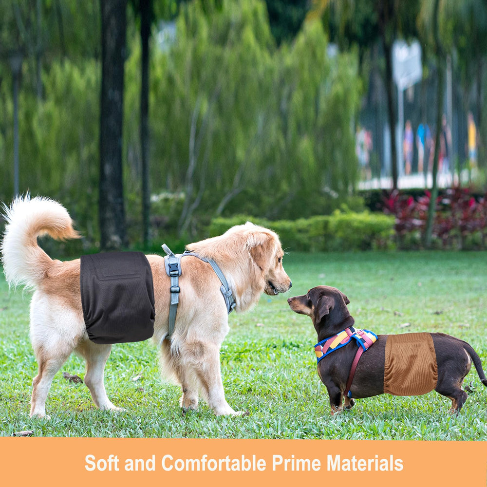 Bandes Langsprit mâles – motifs variés pour chien élégant et heureux