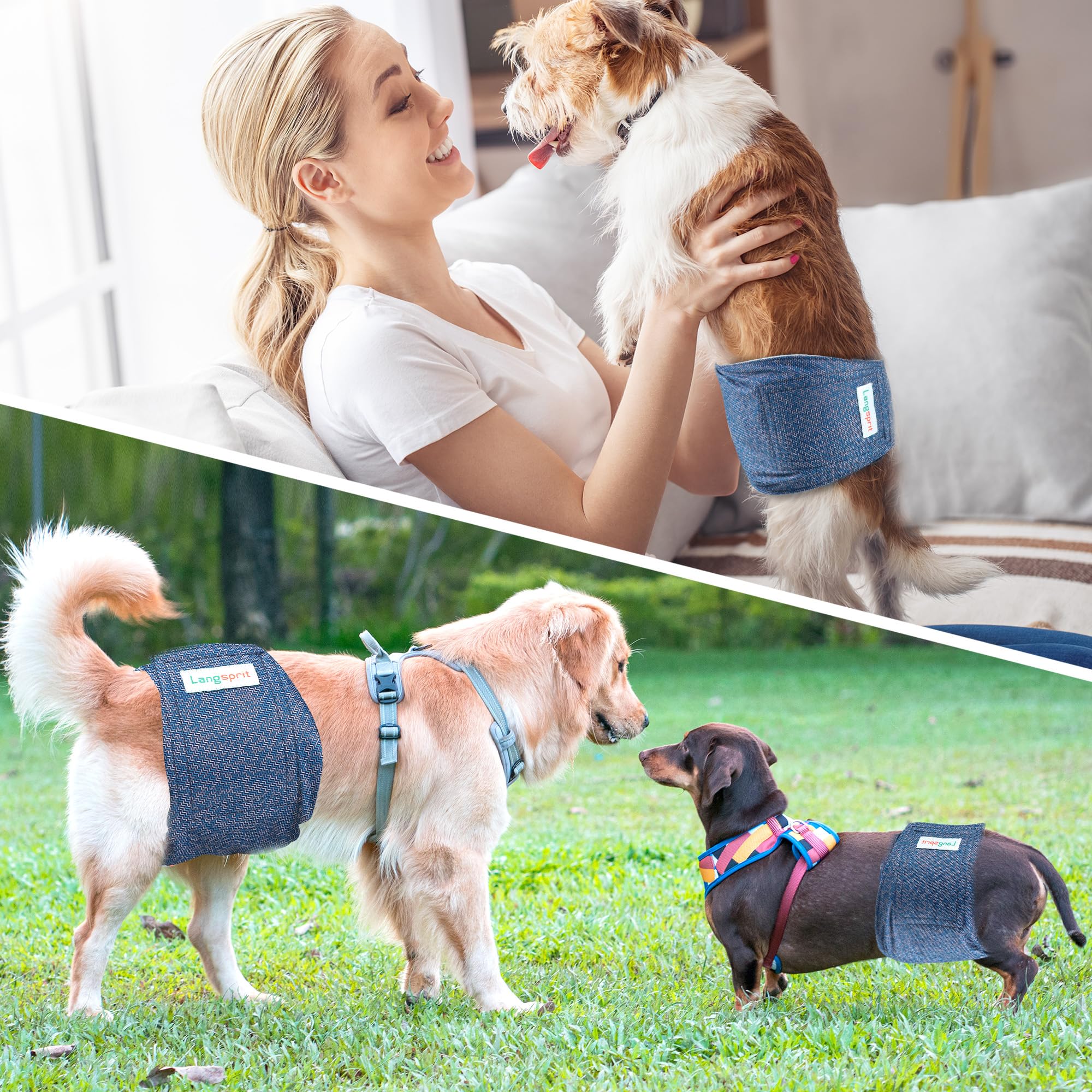 Langsprit bandes-ventre-chien-male confort-doux: toucher agréable lors des promenades.