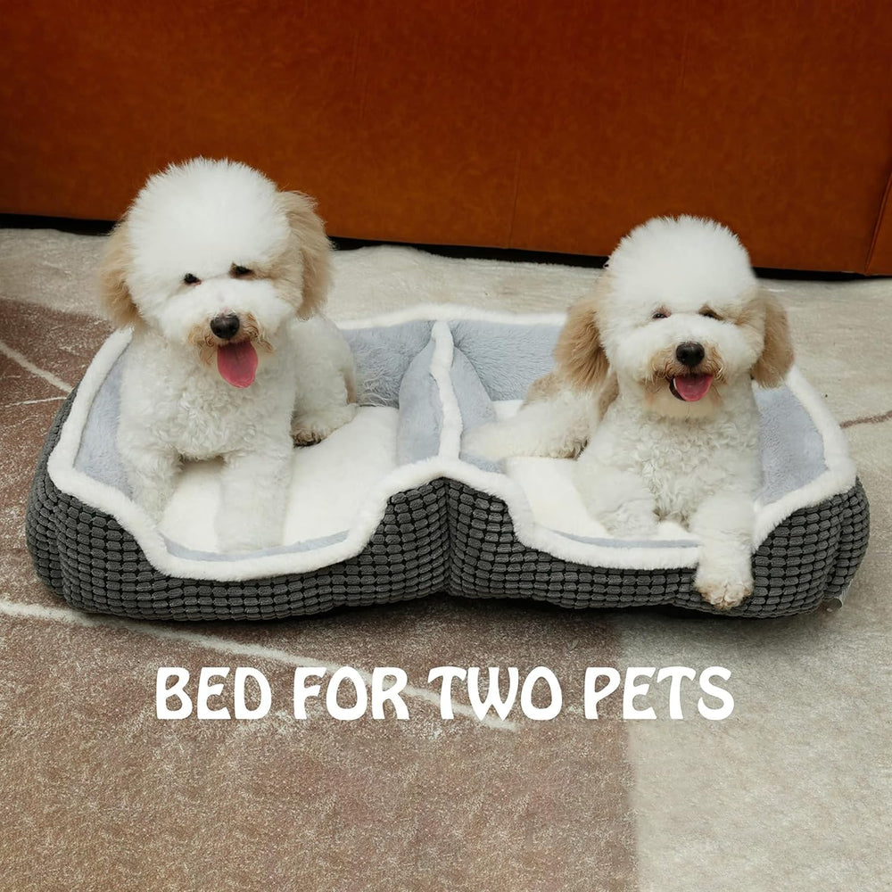 Laojin Balhen – lit conjoints pour deux chats, proximité rassurante.