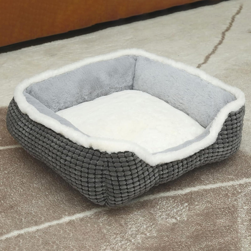 Conception durable Laojin Balhen pour usage quotidien des animaux.