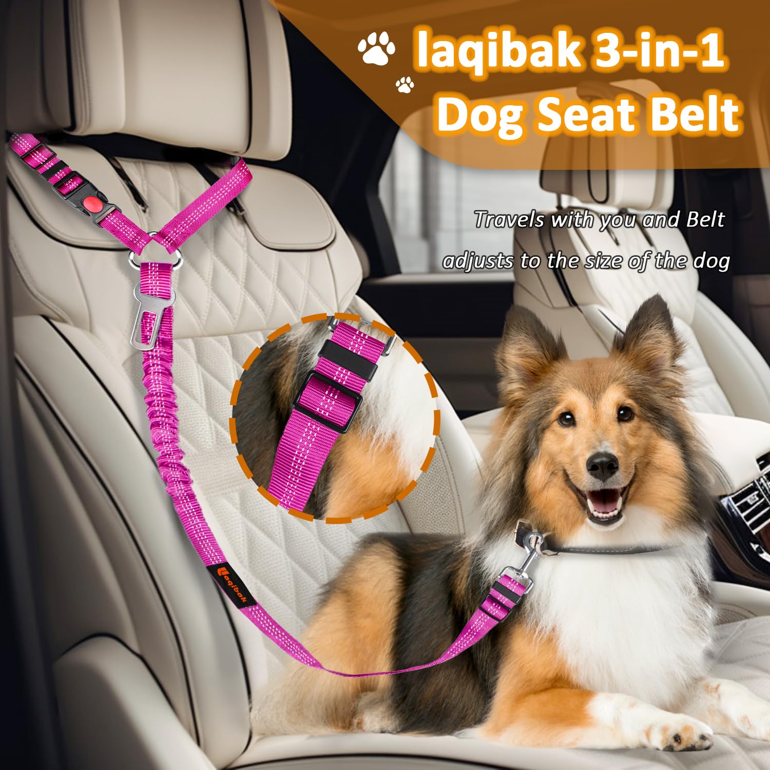 Laqibak attache ceinture chien 360 degrés évitant les enchevêtrements en voyage.