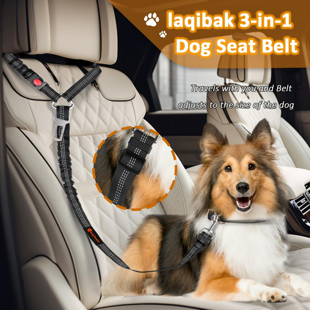 Laqibak attache chien auto boucle rotation 360 assure mouvement fluide.