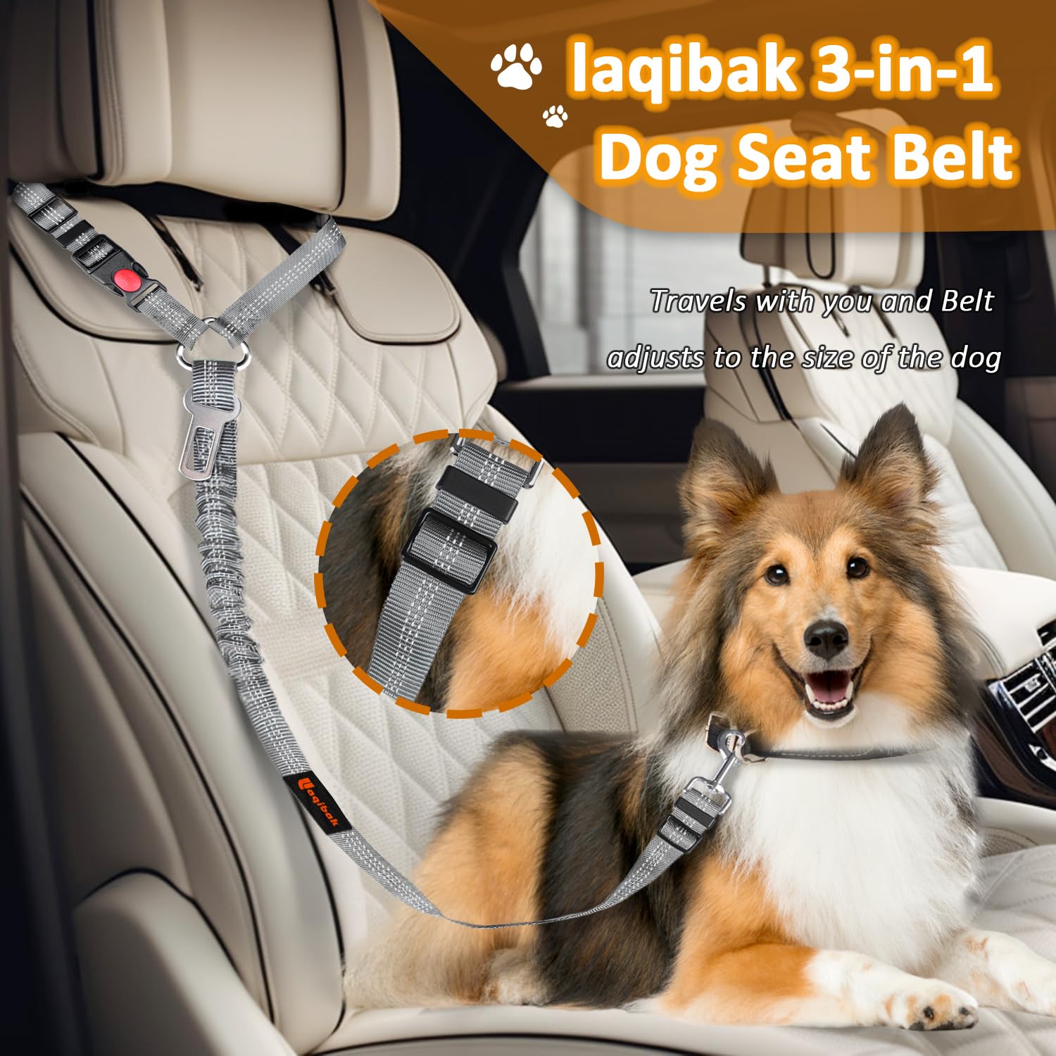 Laqibak attache-securite-chien-360-degres assure une rotation sans enchevêtrement.