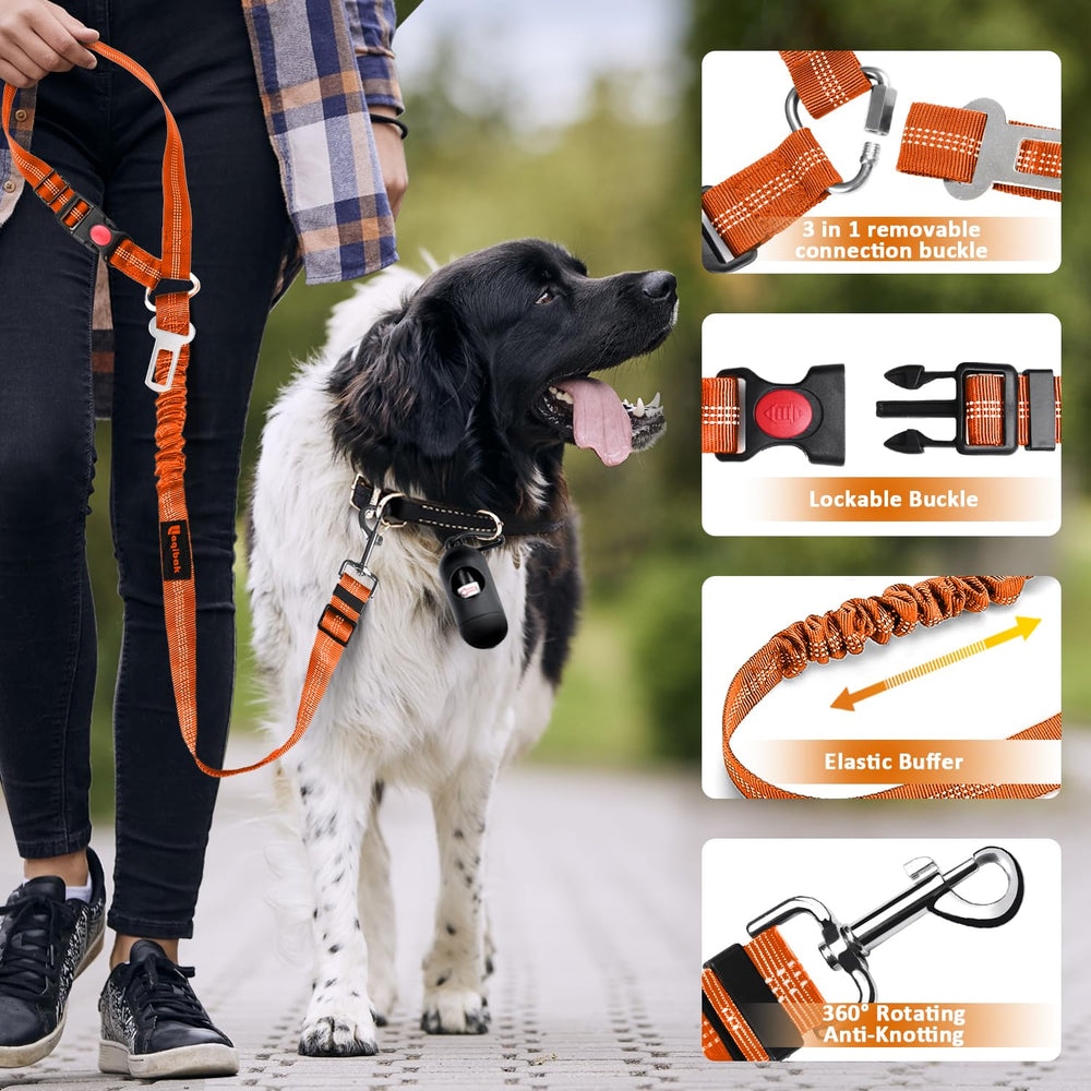 Laqibak boucle-rapide-securite-chien installation express.