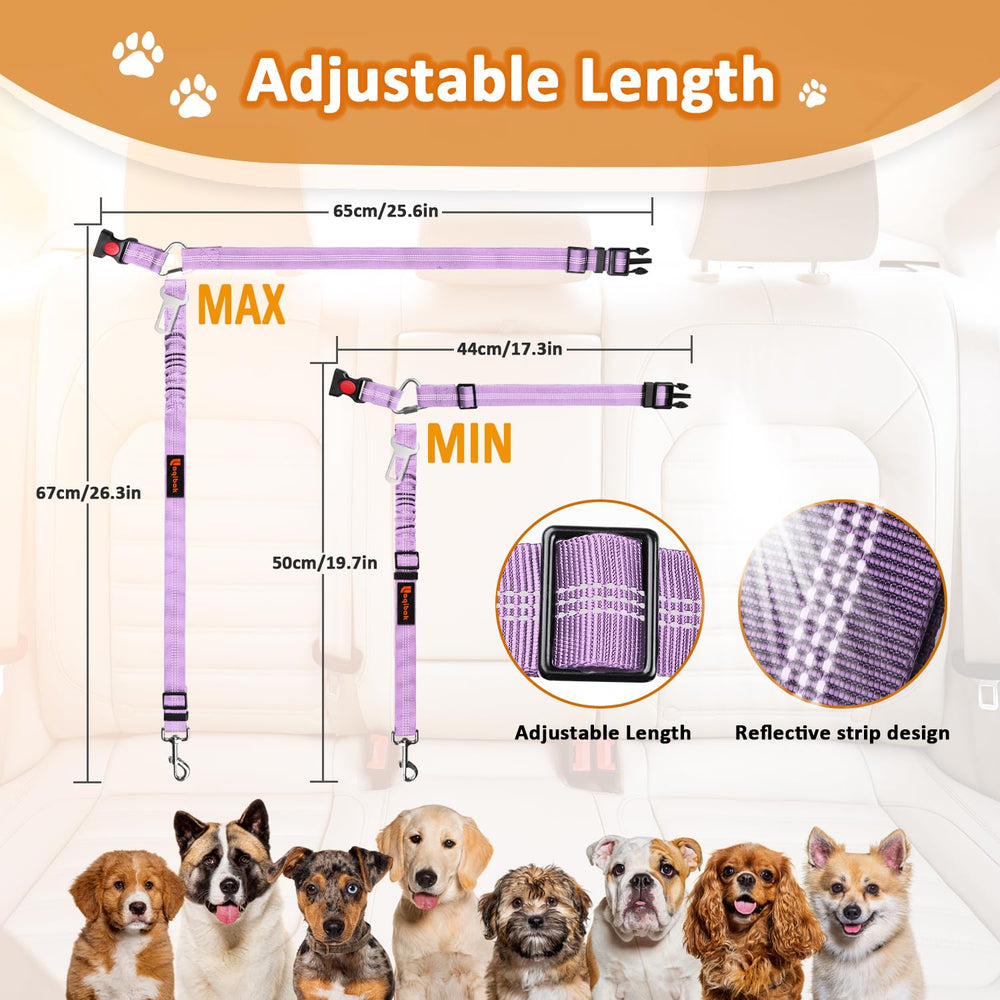 Idée cadeau Laqibak pour propriétaires de chiens, pratique et utile.
