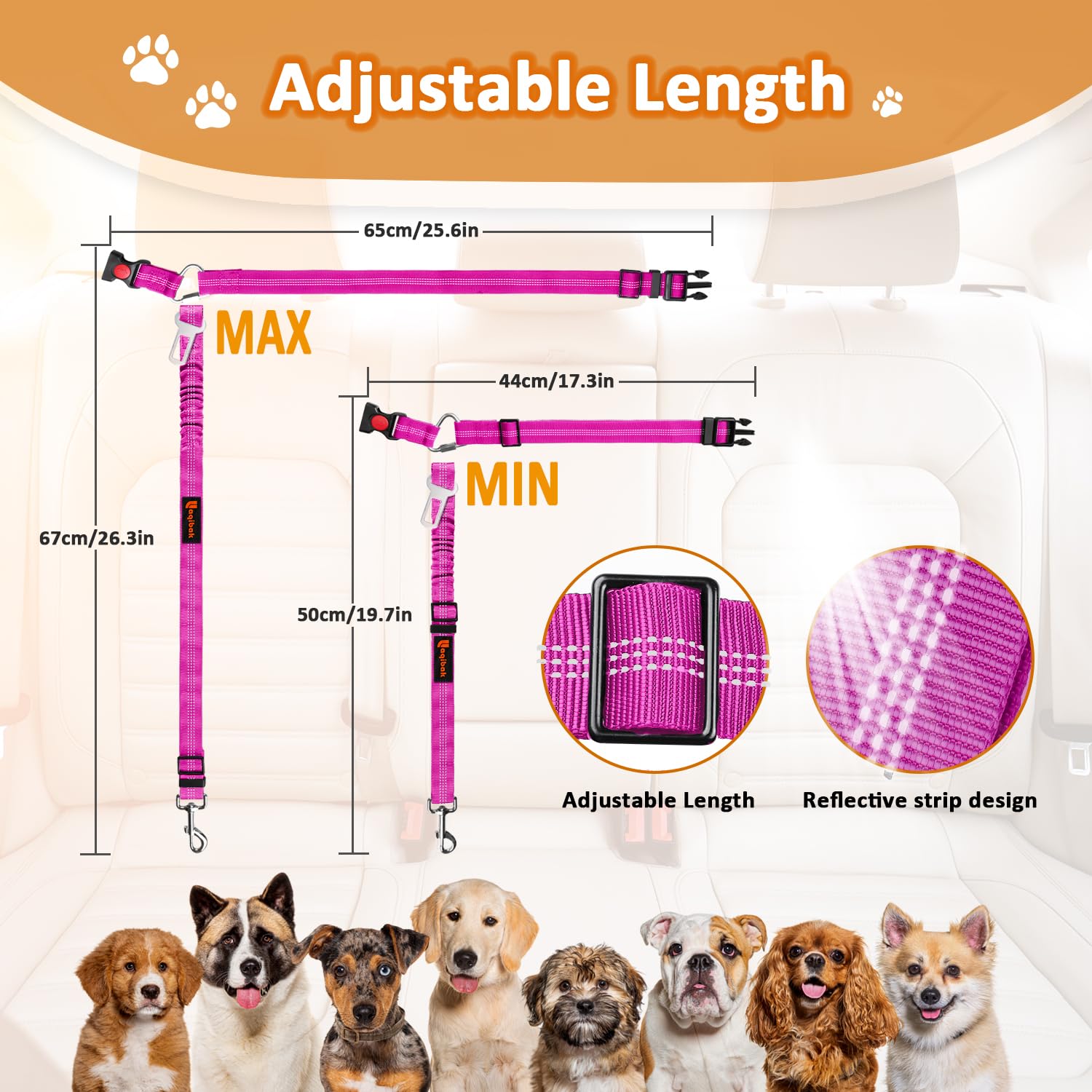 Laqibak ceinture réfléchissante chien pour une meilleure visibilité nocturne et sécurité.