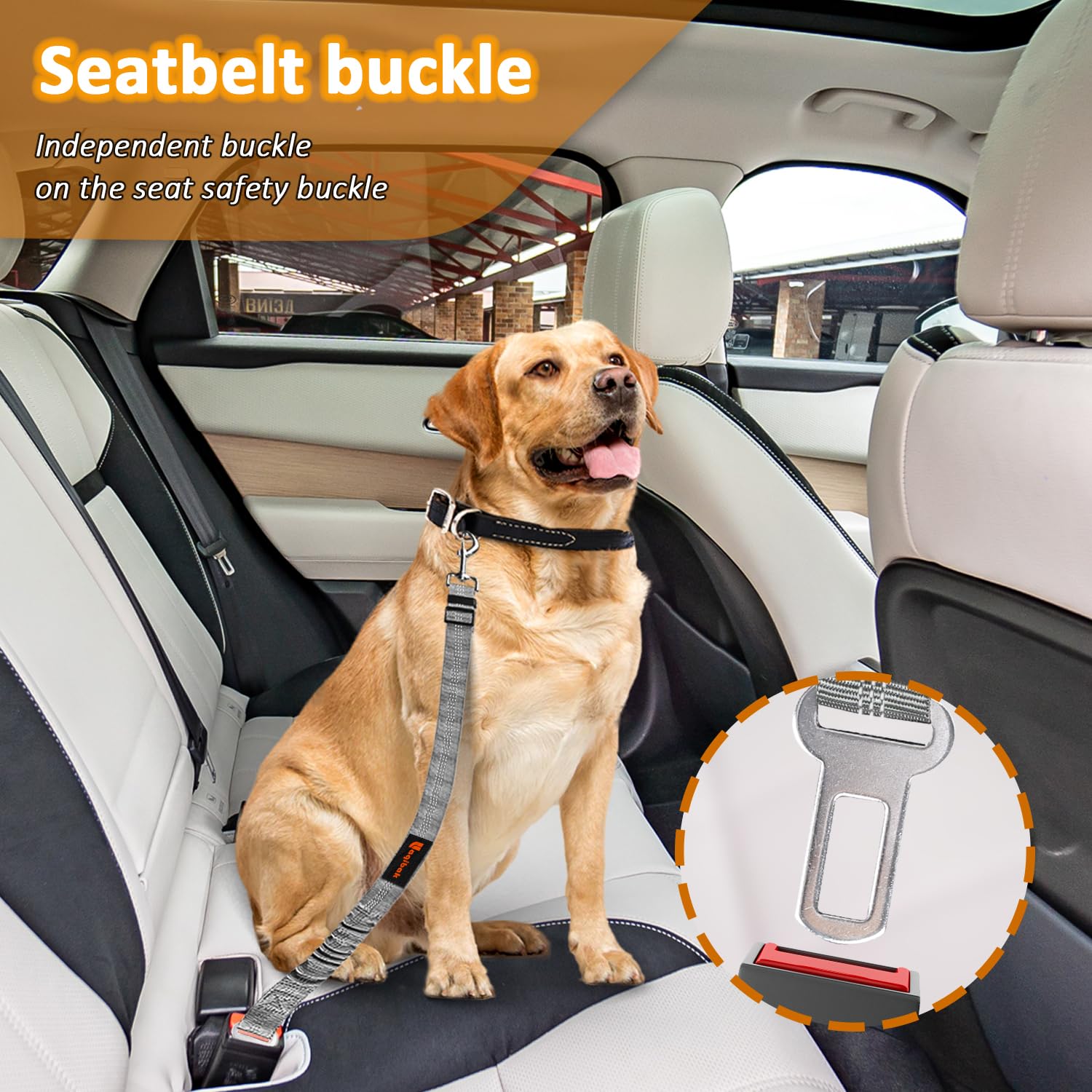 Laqibak corde-reflechissante-harnais-chien-nuit améliore la visibilité et la sécurité nocturne.