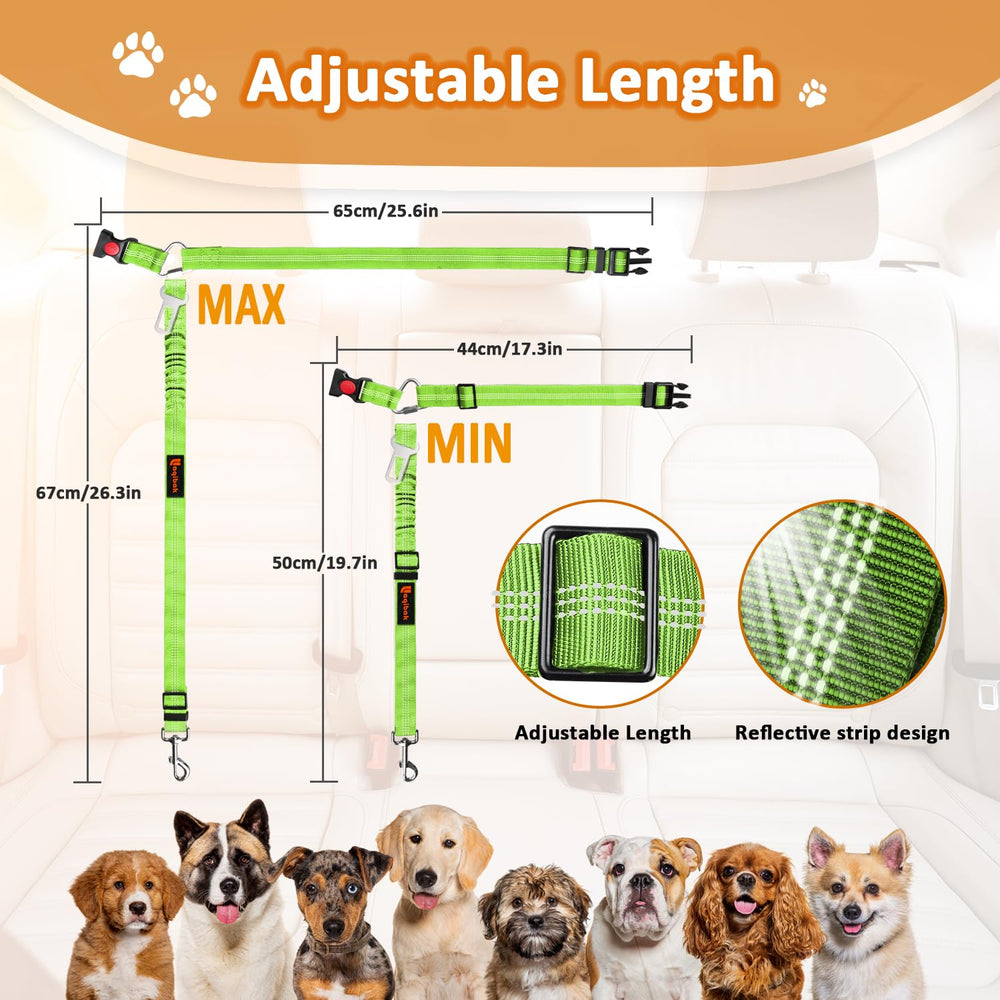 Etui cadeau Laqibak inclus, idéal pour offrir à un amoureux des chiens.