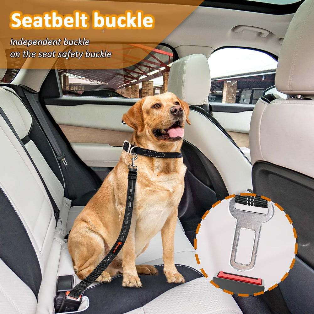 Laqibak harnais chien auto fixation tete pour trajet confortable.