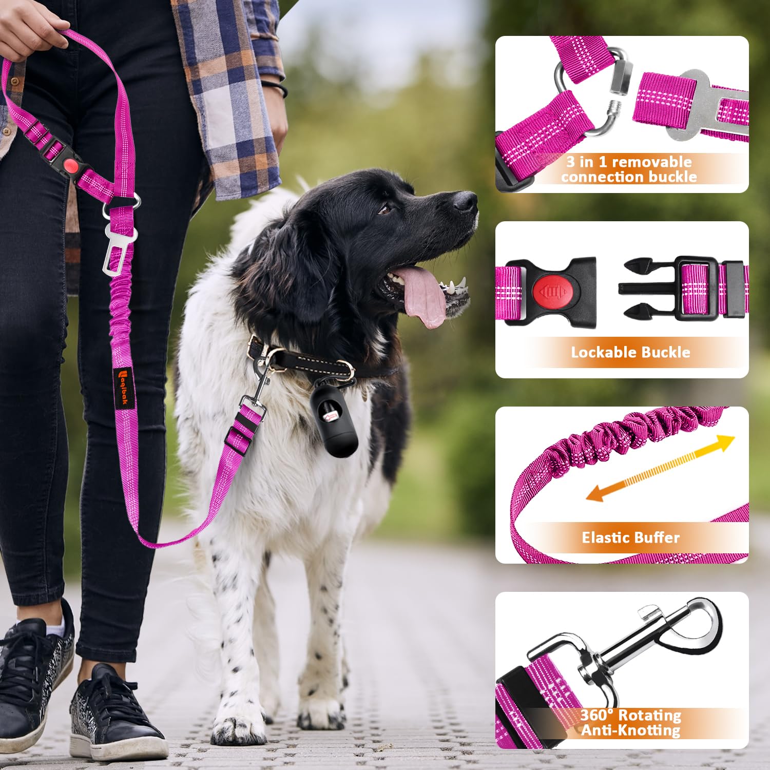 laqibak harnais chien auto usage laisse nocturne pour promenade