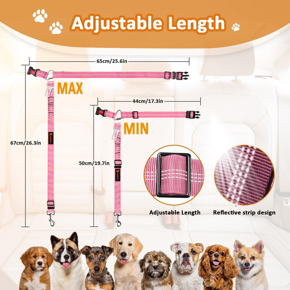 Idée cadeau Laqibak pour amoureux des chiens