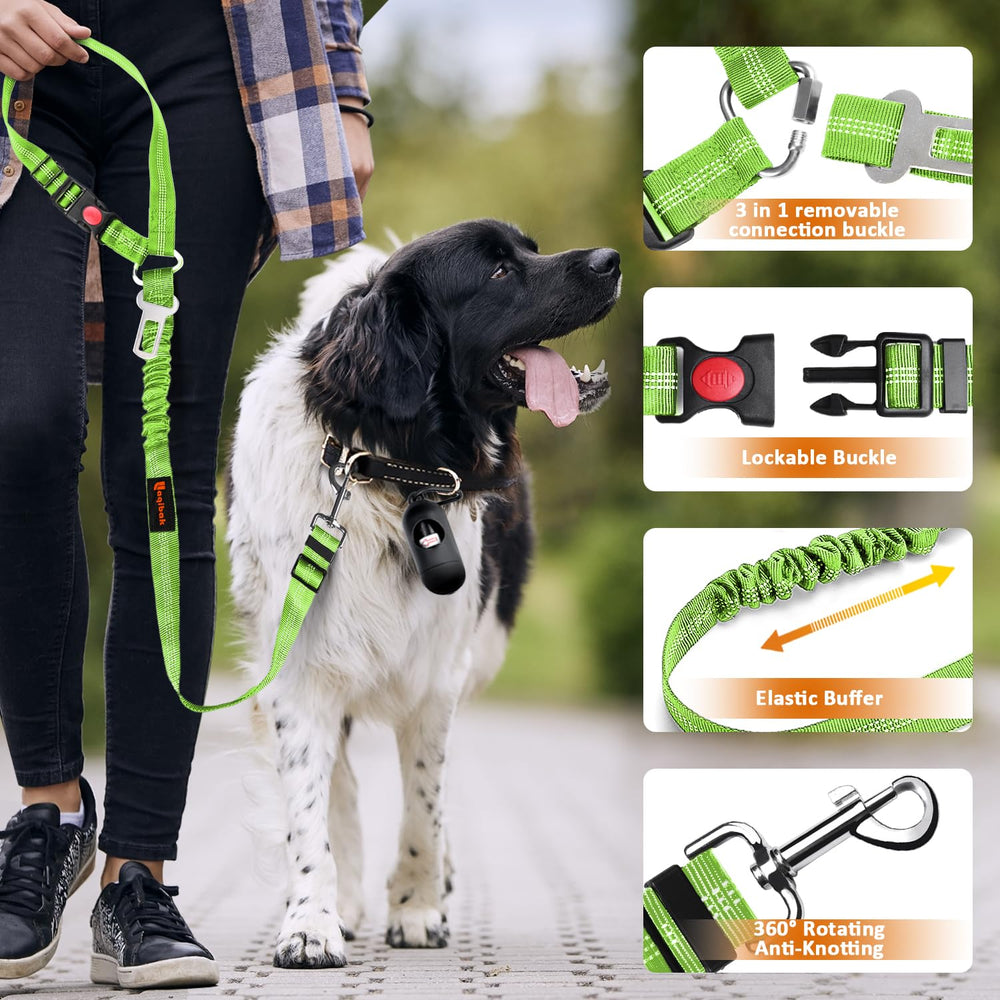 Mode laisse Laqibak, utilisation pratique pour promenade sécurisée.