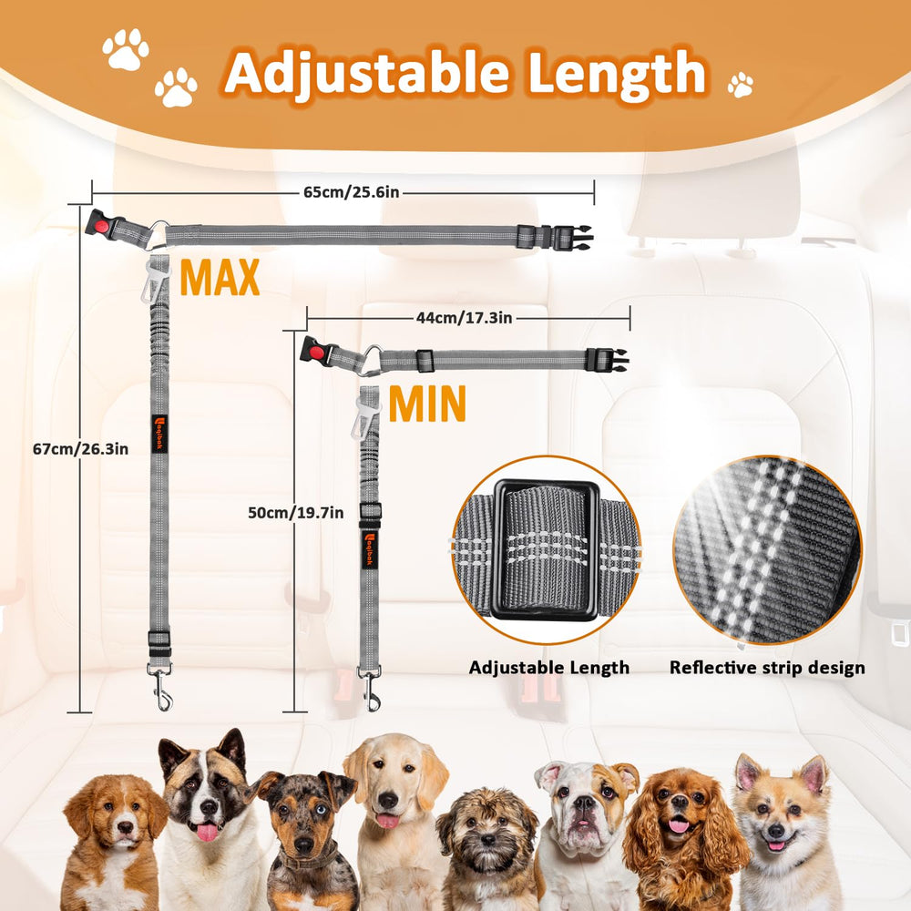 Cadeau idéal Laqikab pour amoureux des chiens voyageurs.