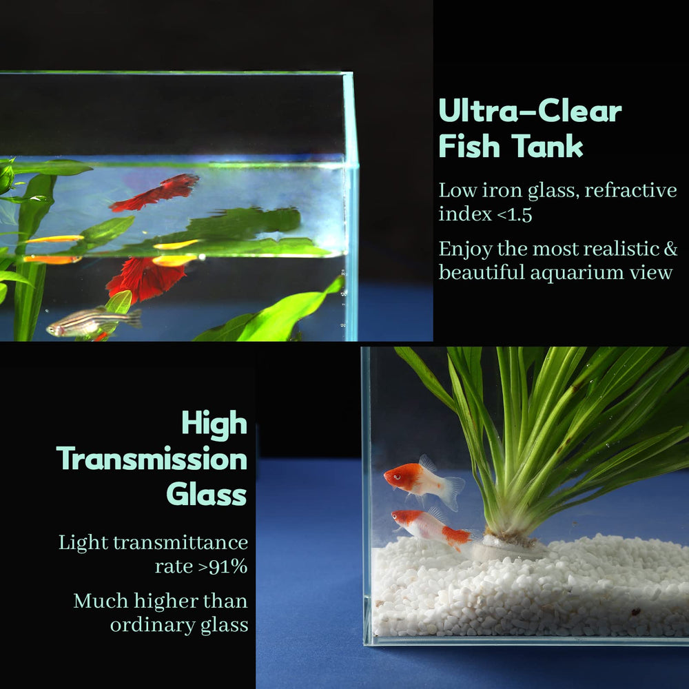Anneau d’alimentation flottant LAQUAL pour nourrir facilement les poissons