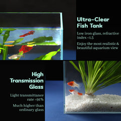 Anneau d’alimentation flottant LAQUAL pour nourrir facilement les poissons