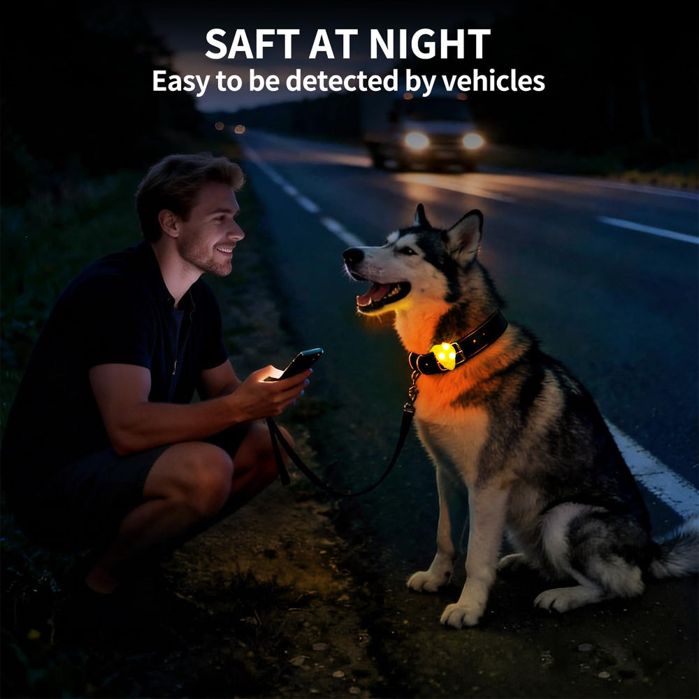 LaRoo accessoire lumineux pour chien, idéal lors des promenades nocturnes.