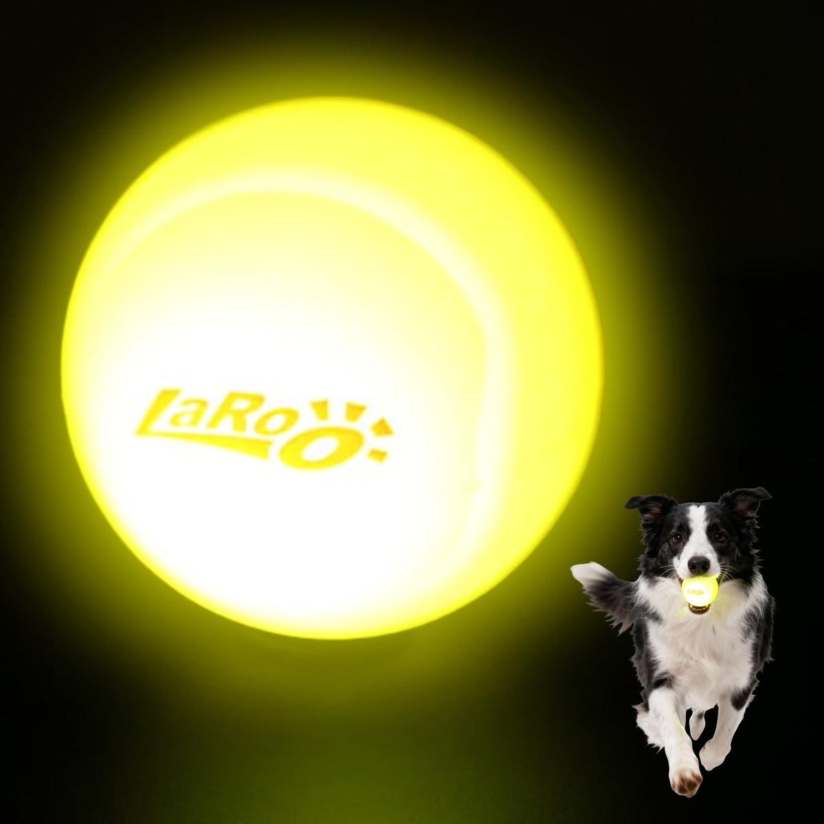 LaRoo balle LED pour chien, vue frontale, visibilité nocturne optimisée pour les jeux.