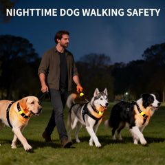 LaRoo charm lumineux pour chien, boucle lumineuse pour sorties nocturnes.