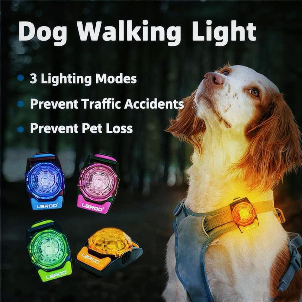 LaRoo collier chien recharge Type-C, charge rapide et pratique.
