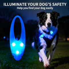 Collier lumineux LaRoo bleu étanche, attache sécurisée pour sorties nocturnes