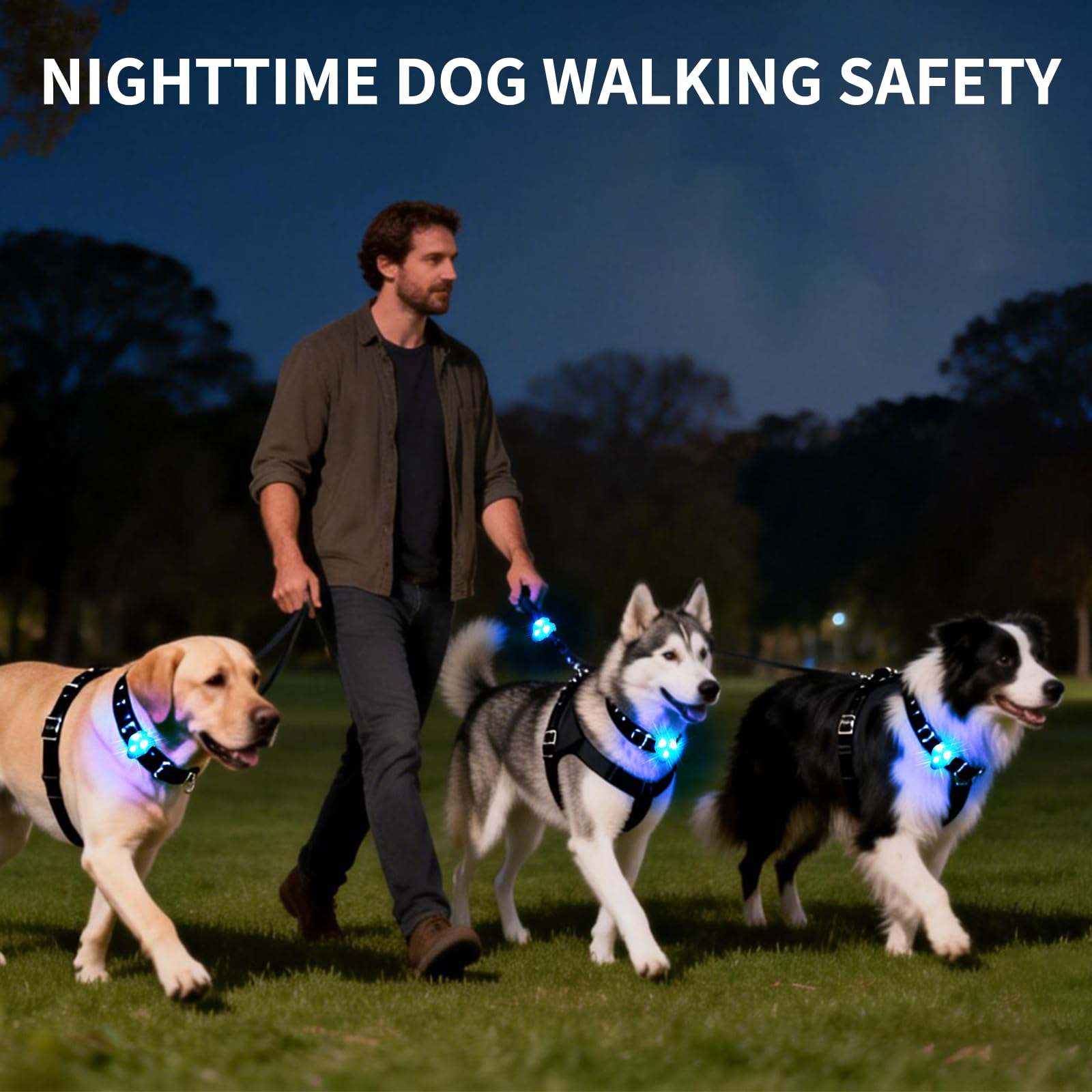 Collier LaRoo lumineux pendant une promenade nocturne, sécurité visuelle