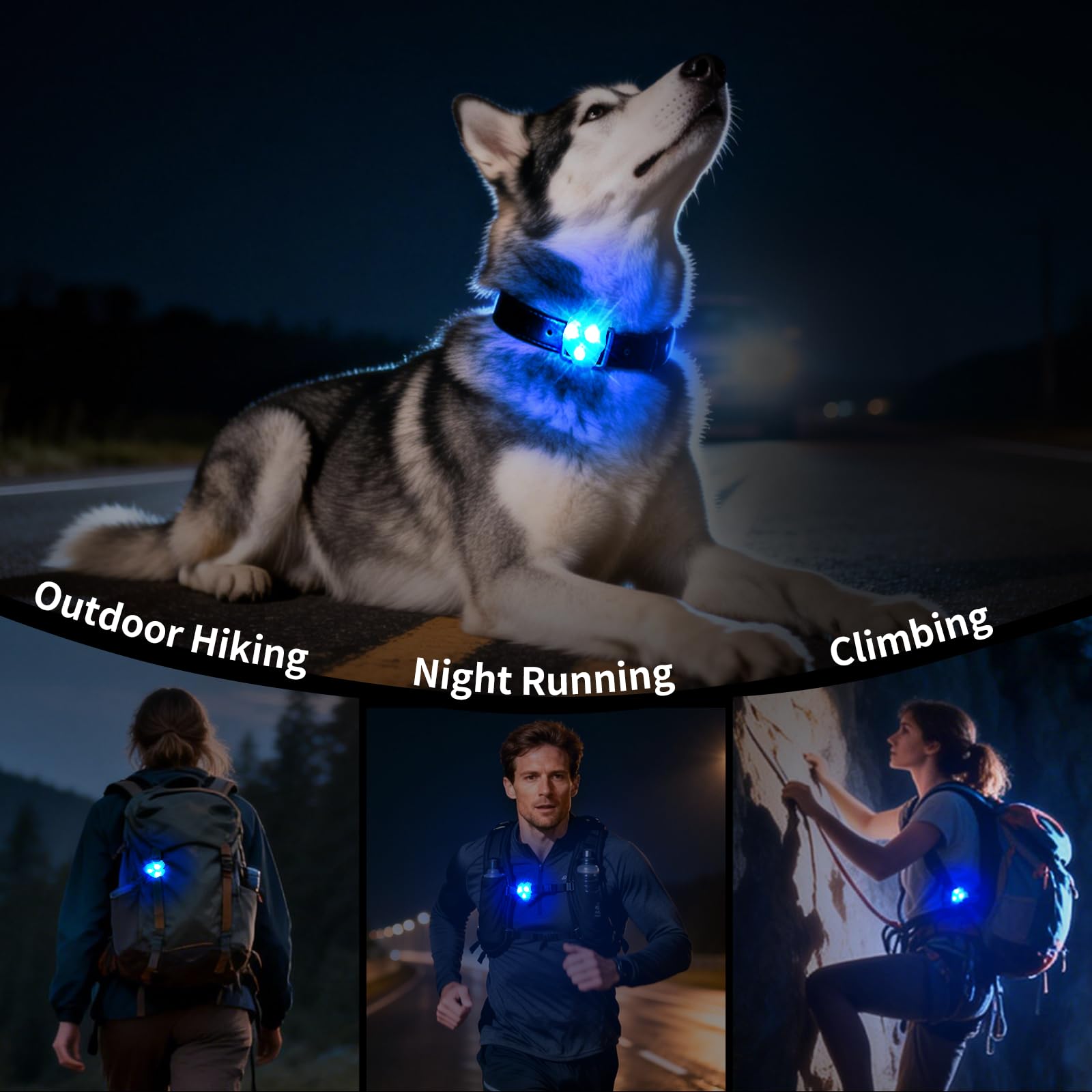 Collier lumineux LaRoo de haute qualité pour chien, durabilité assurée