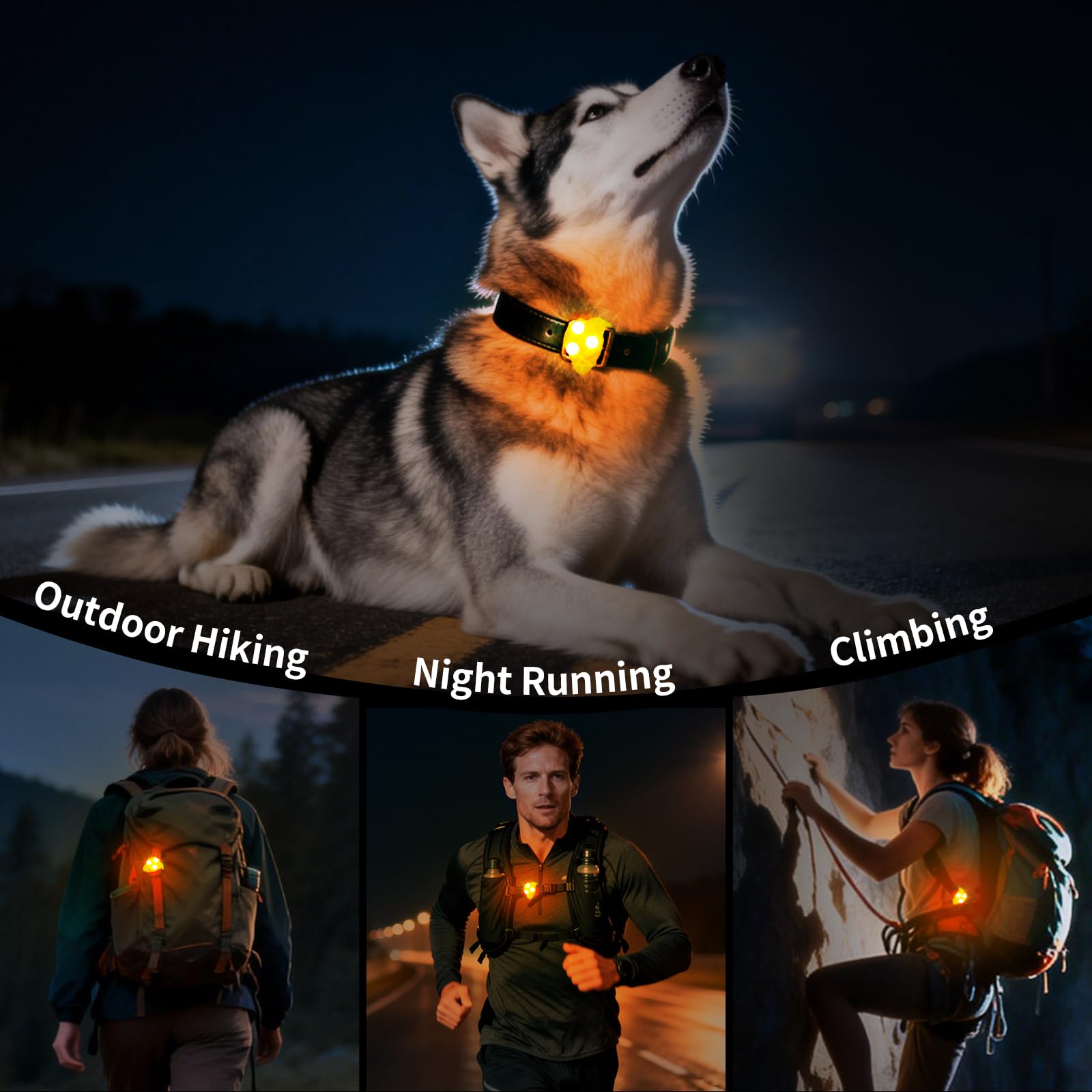 LaRoo lumière avec attache pour chien, sécurité accrue lors des balades.