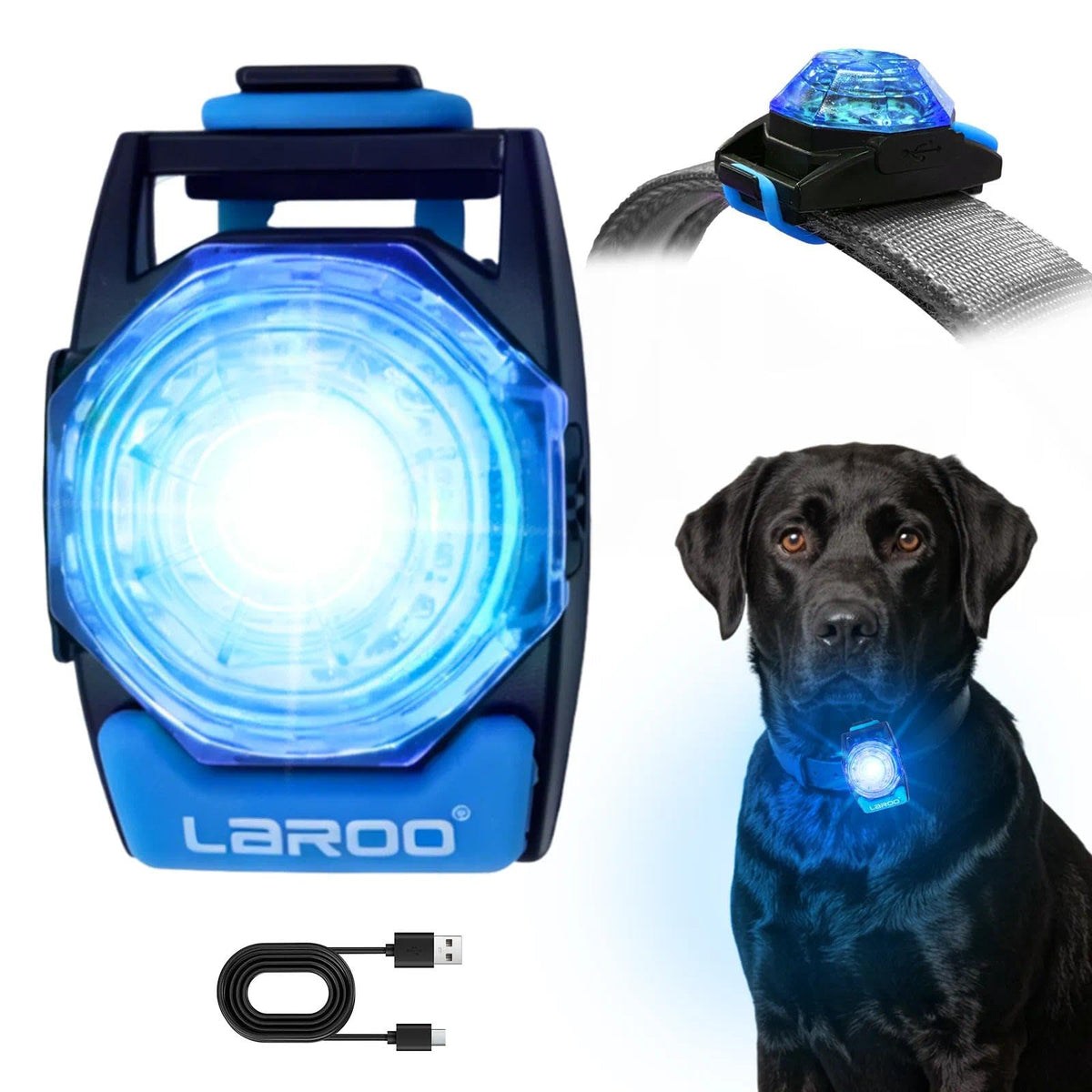 LaRoo lampe-collier chien en action, visibilité nocturne améliorée.